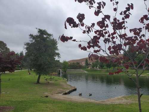 A serene park scene featuring a pond, trees with red leaves, and people walking in the background under a cloudy sky.