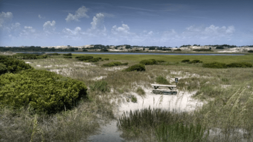 A serene coastal landscape with sandy areas, green shrubs, and a picnic table overlooking a calm waterway.