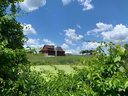 A red barn-style house sits on a green hill, surrounded by lush greenery and a blue sky with fluffy clouds.