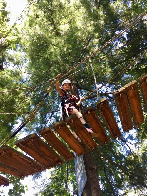 A child in a helmet navigates a wooden rope bridge high among trees in an outdoor adventure park.