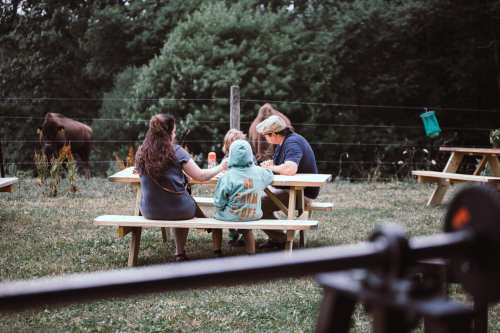 A family sits at a picnic table outdoors, enjoying time together with a cow grazing in the background.