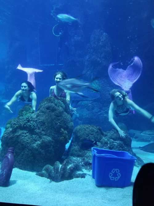 Three women in swimsuits swim near a rocky underwater structure, with fish and mermaid tails visible in the aquarium.