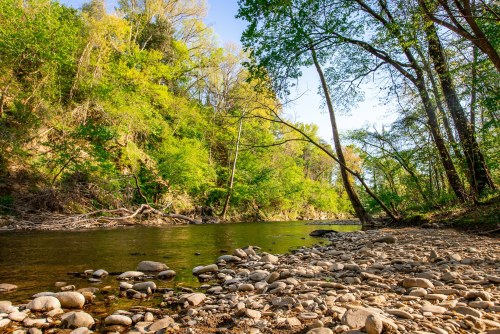 A serene riverbank scene with smooth stones, lush green trees, and clear water under a bright blue sky.