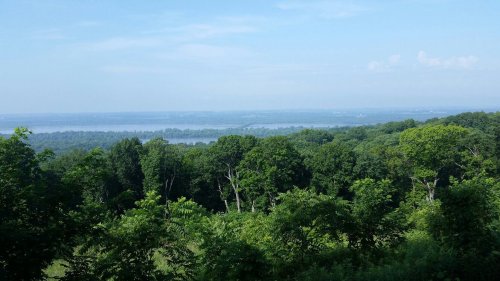 A scenic view of lush green trees overlooking a river and distant hills under a clear blue sky.