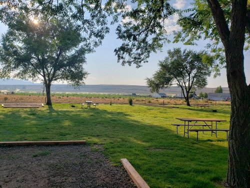 A serene outdoor scene with green grass, trees, and a distant view of hills under a clear sky. Picnic tables are visible.