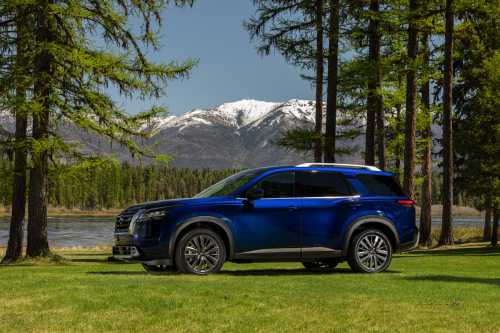 A blue SUV parked on green grass with mountains and a lake in the background, surrounded by tall trees.