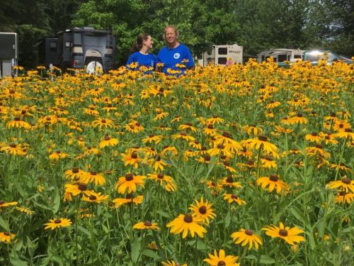 Two people in blue shirts stand among a vibrant field of yellow flowers, with campers visible in the background.