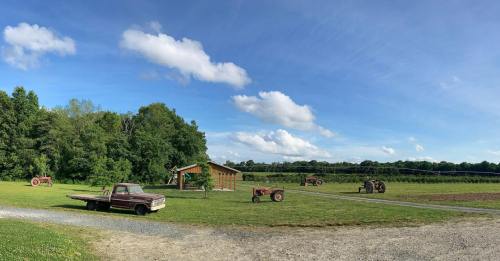 A panoramic view of a farm with vintage tractors, a wooden shed, and lush greenery under a blue sky.
