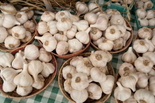 Baskets of fresh garlic bulbs arranged on a checkered tablecloth at a market.