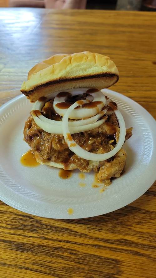 A pulled pork sandwich topped with sliced onions and barbecue sauce on a paper plate.