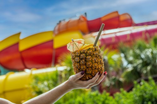 A hand holds a pineapple drink with an umbrella, with colorful water slides in the background.