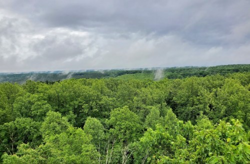 A panoramic view of lush green forests under a cloudy sky, with mist rising from the treetops.