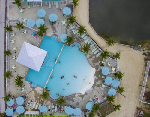 Aerial view of a resort pool surrounded by palm trees and umbrellas, with a sandy area and a nearby body of water.
