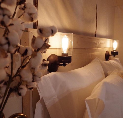 Cozy bedroom with a wooden headboard, soft white bedding, and vintage-style wall lamps beside cotton branches.