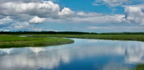 A serene river winding through lush green fields under a blue sky with fluffy clouds reflecting on the water.