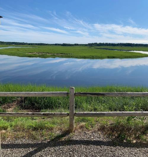 A serene landscape featuring a calm water body, lush green grass, and a clear blue sky with scattered clouds.