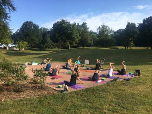 A group of people practicing yoga outdoors on mats in a park, surrounded by greenery and trees.