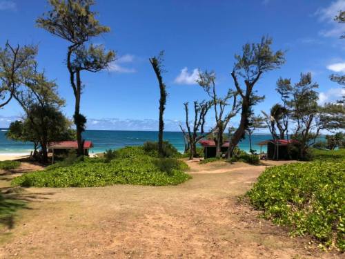 A scenic view of a beach with turquoise water, framed by trees and small cabins under a clear blue sky.