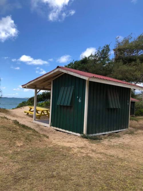 A small green beach hut with a red roof, surrounded by sand and trees, near the water under a blue sky.