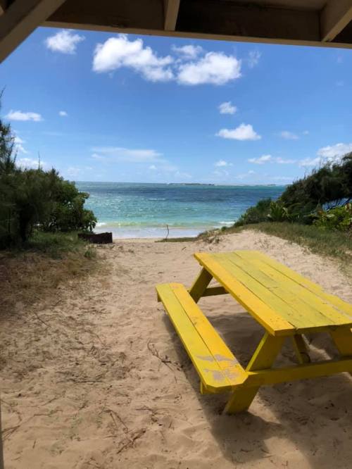 A yellow picnic table on sandy ground, overlooking a calm beach and blue water under a partly cloudy sky.