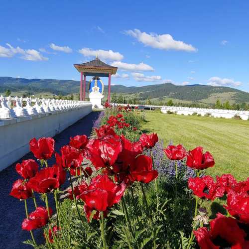 A serene landscape featuring vibrant red flowers in the foreground, with a statue and mountains in the background under a clear blue sky.