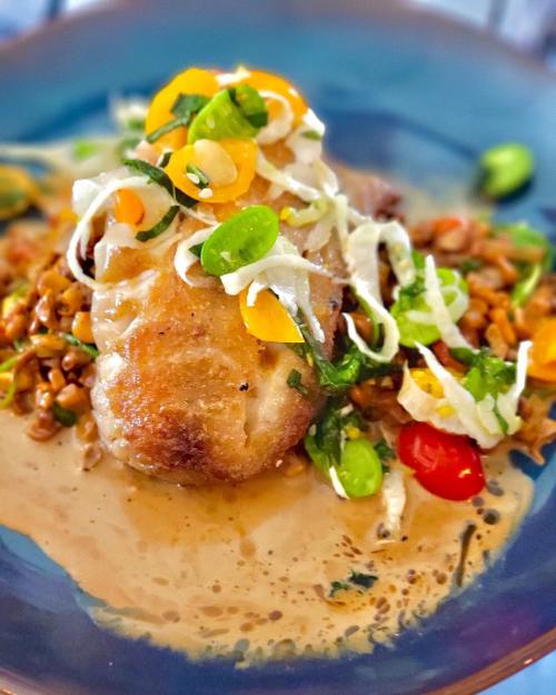 A beautifully plated dish featuring a piece of fish on a bed of grains, topped with fresh herbs and colorful vegetables.