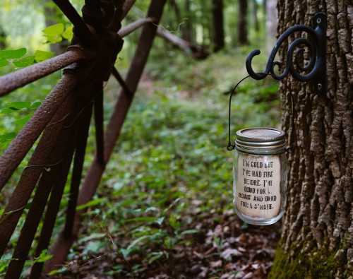 A glass jar hanging on a tree, with a message about feeling cold, surrounded by a lush green forest.