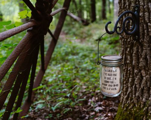 A glass jar hanging on a tree, with a message about feeling cold, surrounded by a lush green forest.