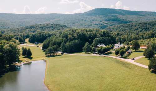 Aerial view of a lush green landscape with a pond, trees, and a distant mountain range under a clear blue sky.