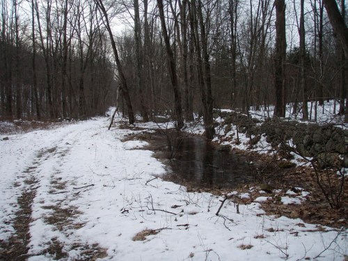 A snowy path beside a stream, surrounded by bare trees and a stone wall in a tranquil forest setting.