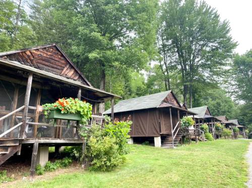 A row of rustic cabins surrounded by lush greenery and trees, featuring flower boxes on the porches.