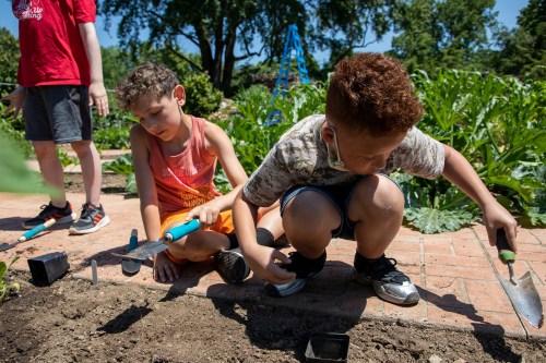 Two children gardening in a sunny area, one digging with a trowel and the other planting in the soil.