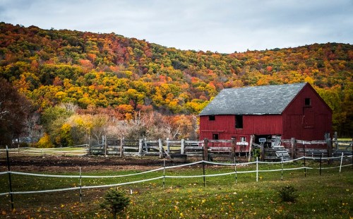 A red barn surrounded by vibrant autumn foliage and a grassy field under a cloudy sky.