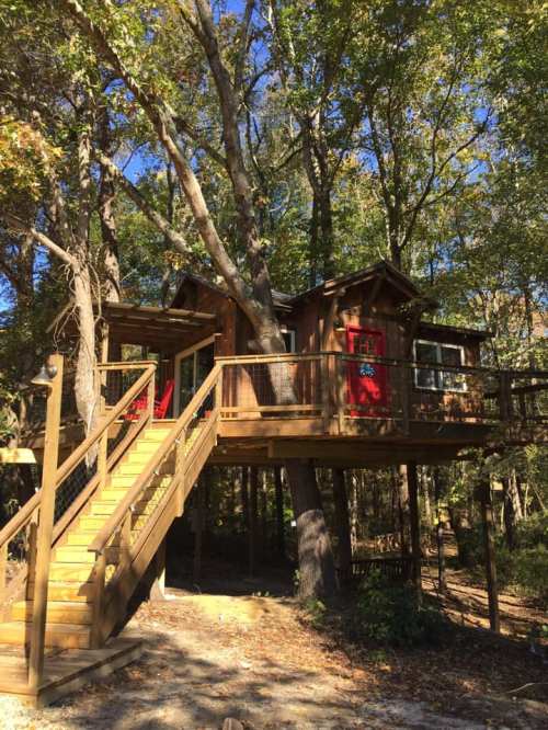 A wooden treehouse with a deck and red doors, nestled among tall trees in a sunny forest setting.