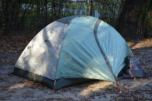 A green camping tent set up on a sandy ground, surrounded by fallen leaves and trees.