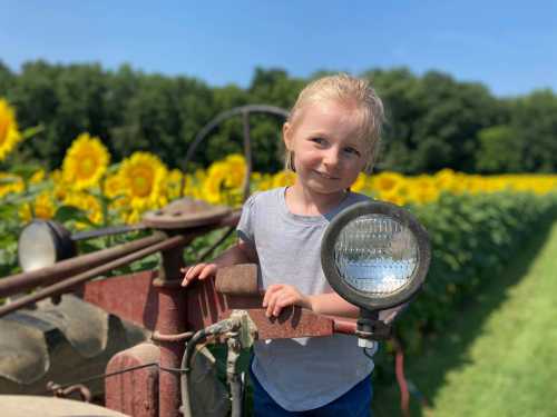 A young girl smiles while standing on a tractor, surrounded by a field of sunflowers under a clear blue sky.