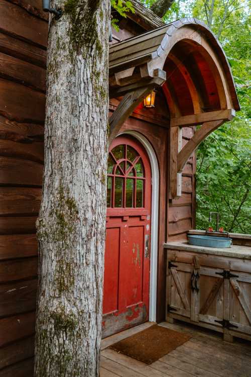 A rustic wooden cabin entrance with a red door, surrounded by trees and a small porch with a planter.