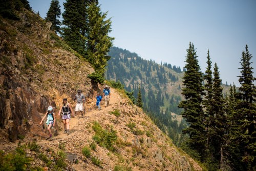 A group of hikers traverses a rocky trail surrounded by tall trees and mountainous terrain.