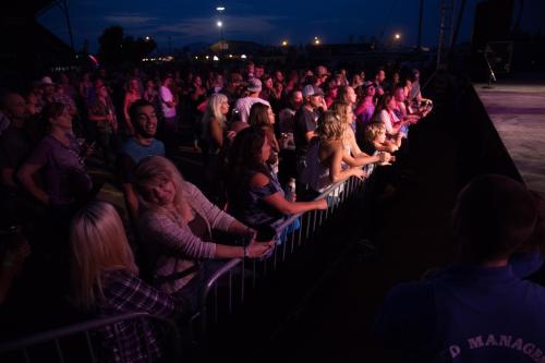 A lively crowd enjoying a concert at dusk, with colorful lights illuminating the scene.