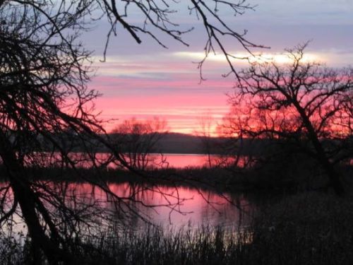 A serene lake at sunset, with vibrant pink and purple skies reflected in the water, framed by silhouetted trees.