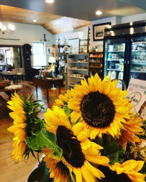 Bright sunflowers in a rustic shop filled with shelves of goods and warm wooden accents.