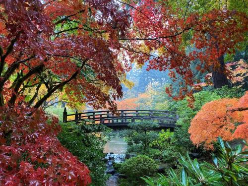 A serene garden scene with vibrant autumn foliage and a wooden bridge over a tranquil stream.