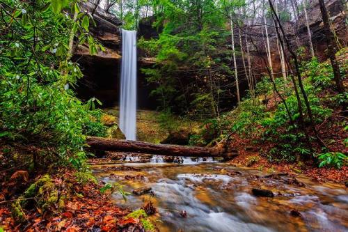 A serene waterfall cascades down rocky cliffs, surrounded by lush greenery and a gentle stream below.