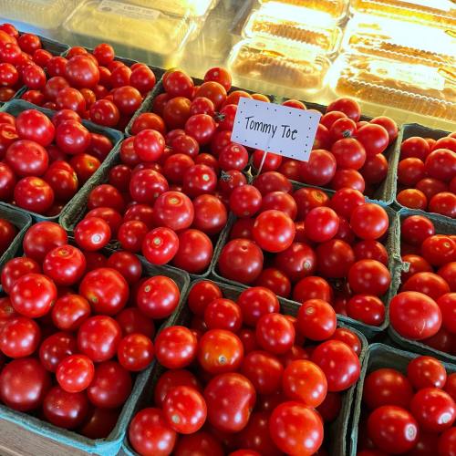 Baskets of bright red tomatoes labeled "Tommy Toe" at a market stall.