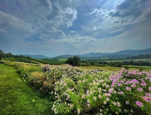 A scenic landscape featuring colorful flowers in the foreground, rolling hills, and a cloudy sky in the background.