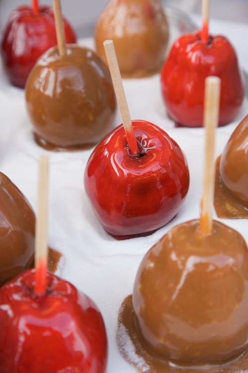 A close-up of red and caramel-coated apples on sticks, arranged on a white surface.