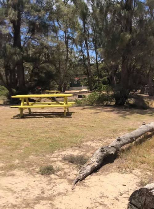 A yellow picnic table in a grassy area surrounded by trees and a fallen log.