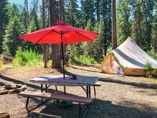 A campsite with a red umbrella over a picnic table and a tent surrounded by tall trees and greenery.
