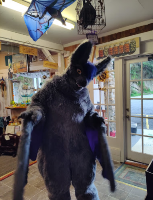 A person in a bat costume stands inside a shop, surrounded by colorful decorations and natural light.