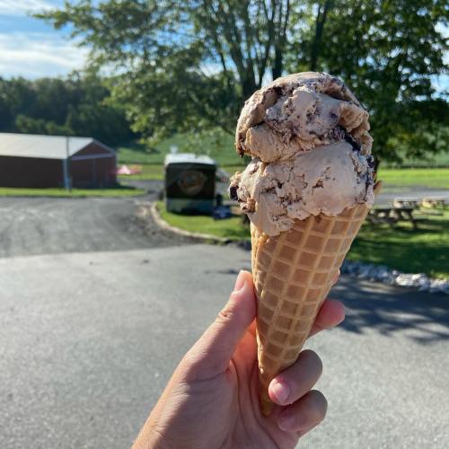A hand holding a cone of chocolate chip ice cream against a scenic outdoor background.